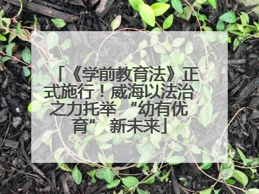 《学前教育法》正式施行！威海以法治之力托举 “幼有优育” 新未来