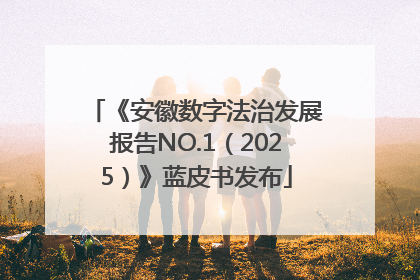 《安徽数字法治发展报告NO.1（2025）》蓝皮书发布