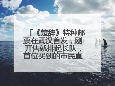 《楚辞》特种邮票在武汉首发，刚开售就排起长队，首位买到的市民直呼激动