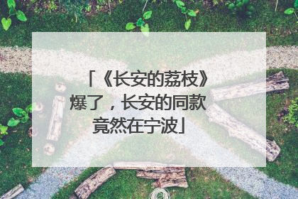 《长安的荔枝》爆了，长安的同款竟然在宁波