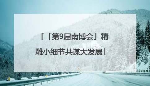 「第9届南博会」精雕小细节共谋大发展
