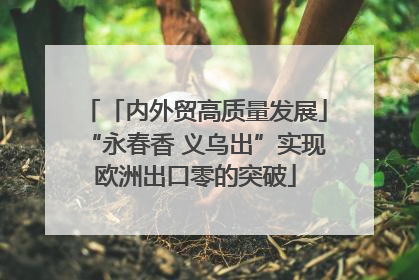 「内外贸高质量发展」“永春香 义乌出”实现欧洲出口零的突破