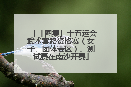 「图集」十五运会武术套路资格赛（女子、团体赛区）、测试赛在南沙开赛