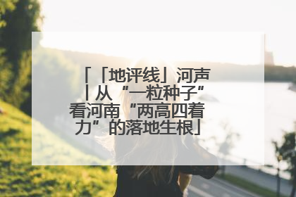 「地评线」河声丨从“一粒种子”看河南“两高四着力”的落地生根