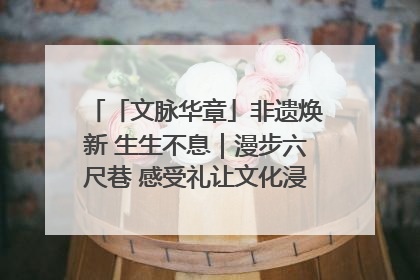 「文脉华章」非遗焕新 生生不息｜漫步六尺巷 感受礼让文化浸润的“巷”往生活