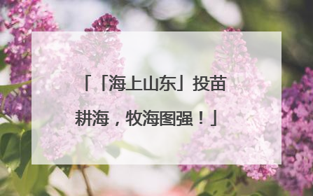 「海上山东」投苗耕海，牧海图强！