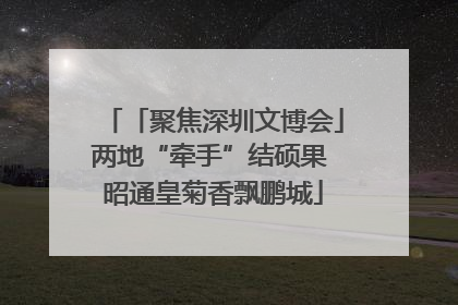 「聚焦深圳文博会」两地“牵手”结硕果 昭通皇菊香飘鹏城