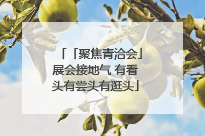 「聚焦青洽会」展会接地气 有看头有尝头有逛头