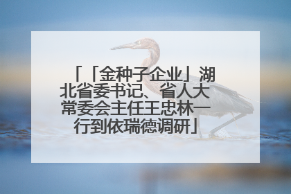 「金种子企业」湖北省委书记、省人大常委会主任王忠林一行到依瑞德调研