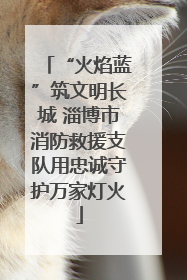 “火焰蓝”筑文明长城 淄博市消防救援支队用忠诚守护万家灯火