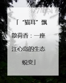 “猫耳”飘散荷香：一座江心岛的生态蜕变