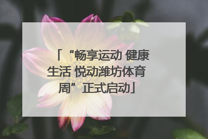 “畅享运动 健康生活 悦动潍坊体育周”正式启动
