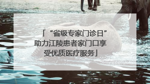 “省级专家门诊日”助力江陵患者家门口享受优质医疗服务