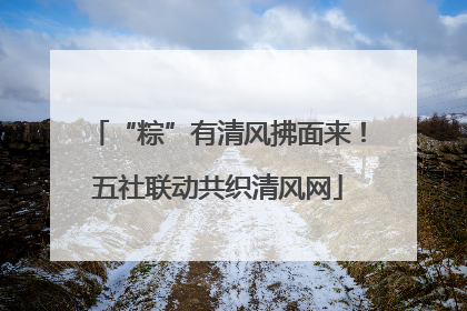 “粽”有清风拂面来！五社联动共织清风网