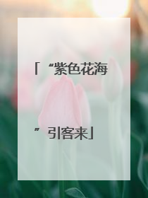 “紫色花海”引客来