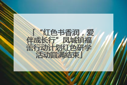 “红色书香润，爱伴成长行”凤城镇福蕾行动计划红色研学活动圆满结束