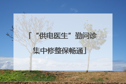“供电医生”勤问诊 集中修整保畅通