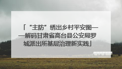 “主防”绣出乡村平安图——解码甘肃省高台县公安局罗城派出所基层治理新实践