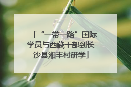 “一带一路”国际学员与西藏干部到长沙县湘丰村研学