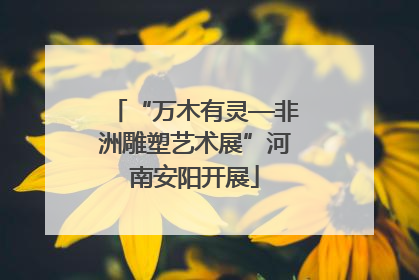 “万木有灵—非洲雕塑艺术展”河南安阳开展