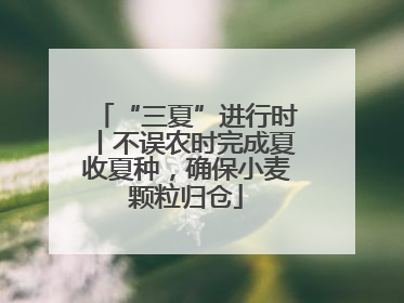“三夏”进行时丨不误农时完成夏收夏种，确保小麦颗粒归仓