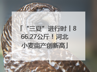 “三夏”进行时丨866.27公斤！河北小麦亩产创新高