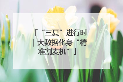 “三夏”进行时｜大数据化身“精准割麦机”