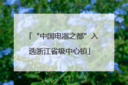 “中国电器之都”入选浙江省级中心镇