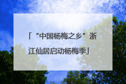 “中国杨梅之乡”浙江仙居启动杨梅季