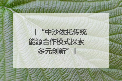 “中沙依托传统能源合作模式探索多元创新”