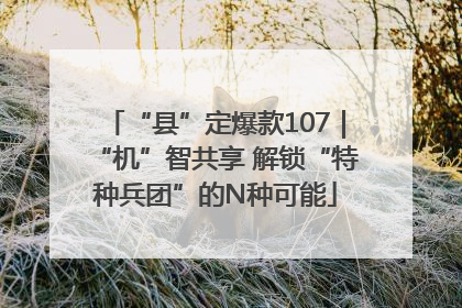 “县”定爆款107｜“机”智共享 解锁“特种兵团”的N种可能