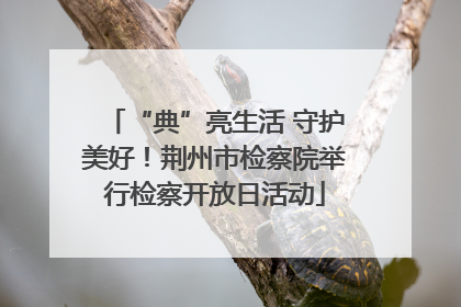 “典”亮生活 守护美好！荆州市检察院举行检察开放日活动