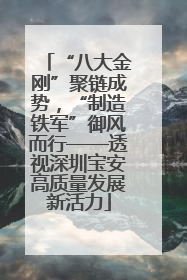 “八大金刚”聚链成势，“制造铁军”御风而行——透视深圳宝安高质量发展新活力