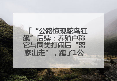 “公路惊现鸵鸟狂飙”后续：养殖户称它与同类打闹后“离家出走”，跑了1公里被找回