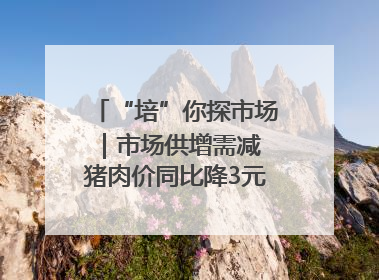 “培”你探市场｜市场供增需减 猪肉价同比降3元 未来40天便宜猪肉敞开吃