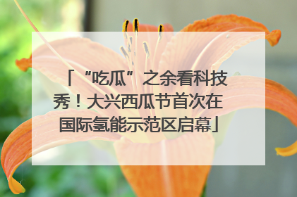 “吃瓜”之余看科技秀！大兴西瓜节首次在国际氢能示范区启幕