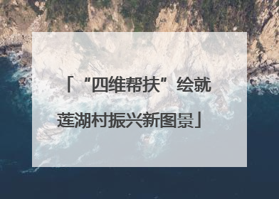 “四维帮扶”绘就莲湖村振兴新图景