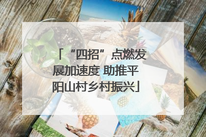 “四招”点燃发展加速度 助推平阳山村乡村振兴