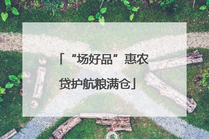 “场好品”惠农贷护航粮满仓