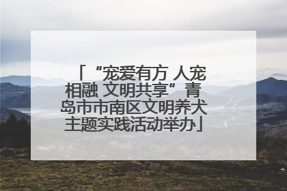 “宠爱有方 人宠相融 文明共享”青岛市市南区文明养犬主题实践活动举办