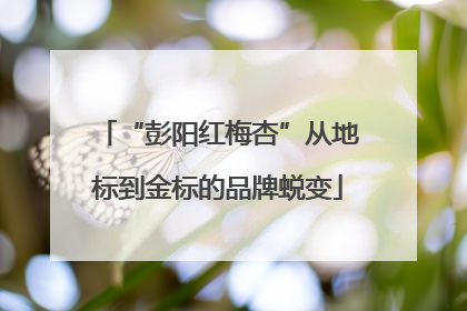 “彭阳红梅杏”从地标到金标的品牌蜕变