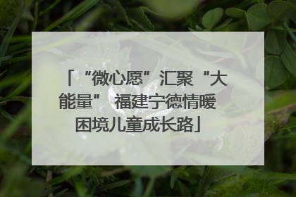 “微心愿”汇聚“大能量” 福建宁德情暖困境儿童成长路