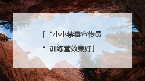 “小小禁毒宣传员”训练营效果好