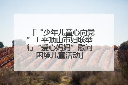 “少年儿童心向党”！平顶山市妇联举行“爱心妈妈”慰问困境儿童活动
