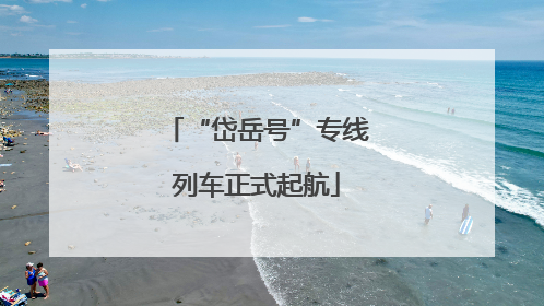 “岱岳号”专线列车正式起航