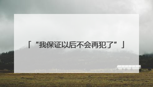 “我保证以后不会再犯了”