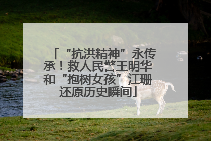 “抗洪精神”永传承！救人民警王明华和“抱树女孩”江珊还原历史瞬间