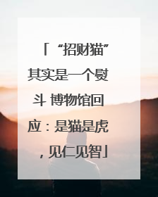 “招财猫”其实是一个熨斗 博物馆回应：是猫是虎，见仁见智