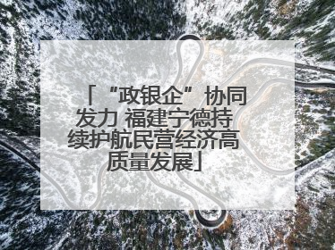 “政银企”协同发力 福建宁德持续护航民营经济高质量发展