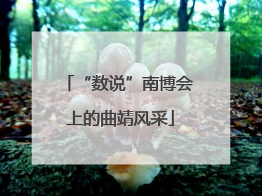 “数说”南博会上的曲靖风采
